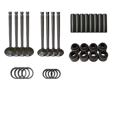 JAC Car Fitment Sedia della valvola di aspirazione in acciaio per motore QC480 parti 2408000310600 OEM NO