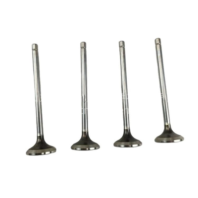 Valvola di scarico di aspirazione in acciaio di dimensioni standard per ricambi di auto QC480 2408000300800-c