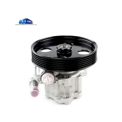 Yunnei D19 pompa di potenziamento dello sterzo del motore X197091 pompa di olio dello sterzo per sostituzione/riparazione