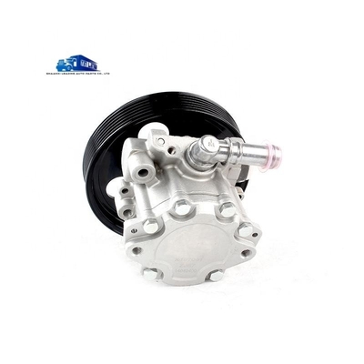 Yunnei D19 pompa di potenziamento dello sterzo del motore X197091 pompa di olio dello sterzo per sostituzione/riparazione